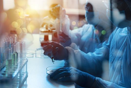 Chercheurs travaillant dans un laboratoire