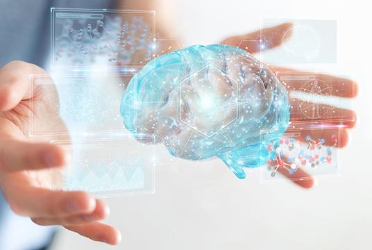 infographie du cerveau avec interfaces numériques