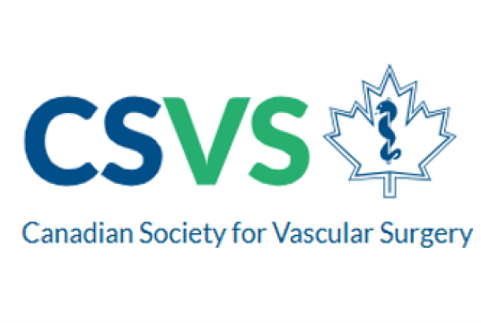 Logo CSVS